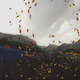 Illustration for article titled Frankenreview: Flower